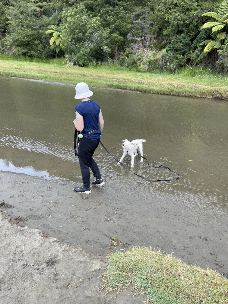 #