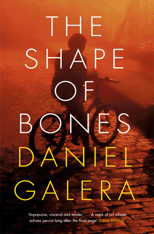 Daniel Galera