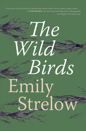 Emily Strelow