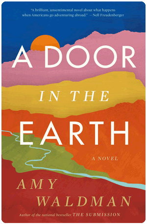 Amy Waldman