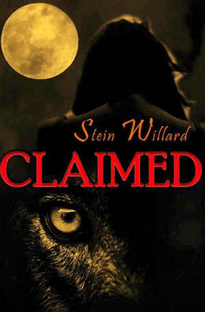 Stein Willard