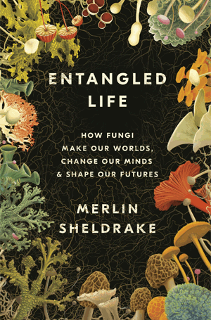 Merlin Sheldrake