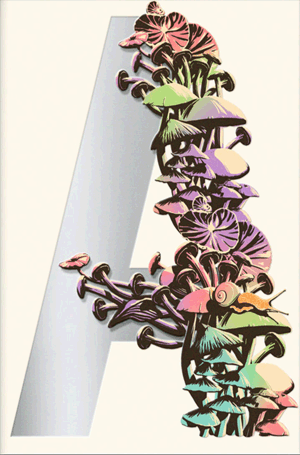 Jeff VanderMeer