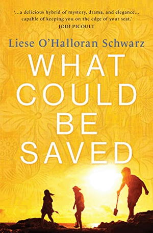 Liese O'Halloran Schwarz