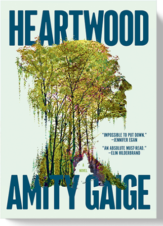 Amity Gaige